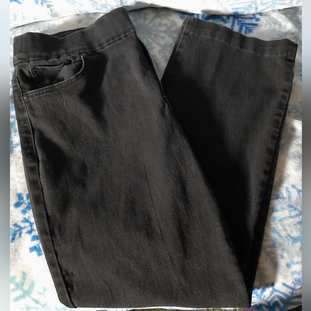 Gloria Vanderbilt pants size 16